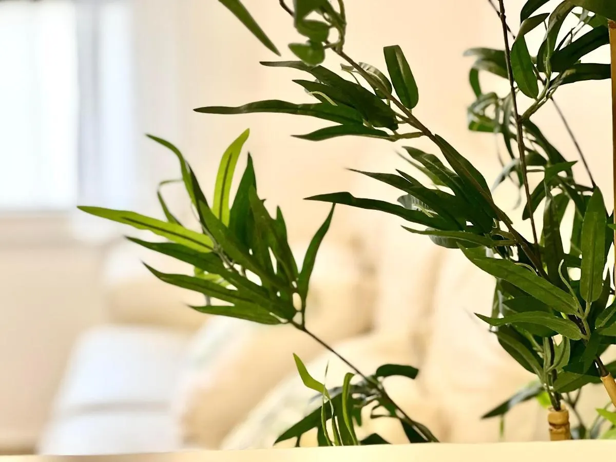 Malaga Centro Station Maria Zambrano Parking Free Apartment